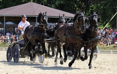 VIDEO: Velký jezdecký den přilákal do Slatiňan tisíce návštěvníků