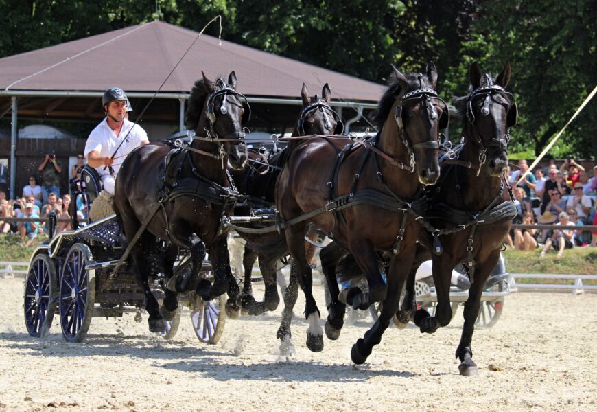 VIDEO: Velký jezdecký den přilákal do Slatiňan tisíce návštěvníků