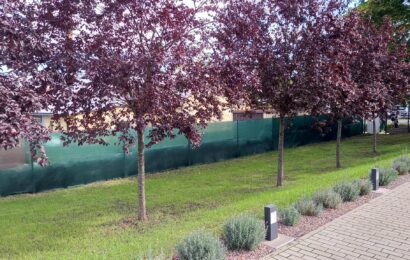 Upravená zeleň a okolí v areálu domova mládeže v Přelouči