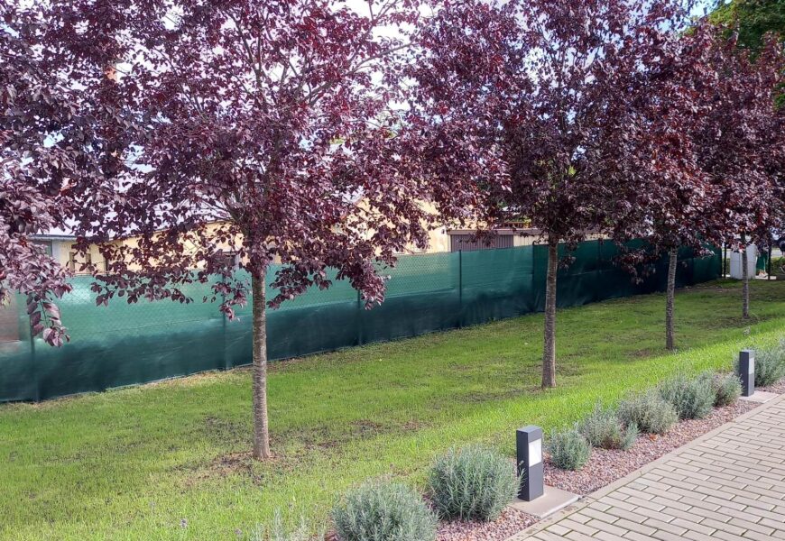 Upravená zeleň a okolí v areálu domova mládeže v Přelouči