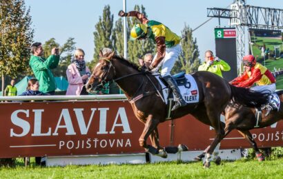 Účastníky 135. Velké pardubické se Slavia pojišťovnou divákům představí TALENT