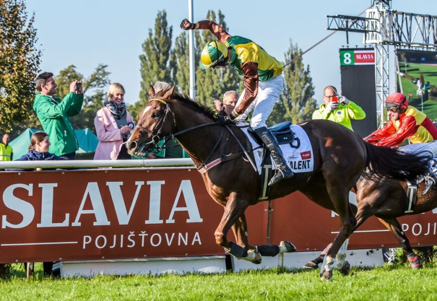 Účastníky 135. Velké pardubické se Slavia pojišťovnou divákům představí TALENT