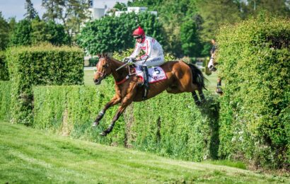 Jediná klisna v poli Ztracenka favoritkou závěrečné kvalifikace