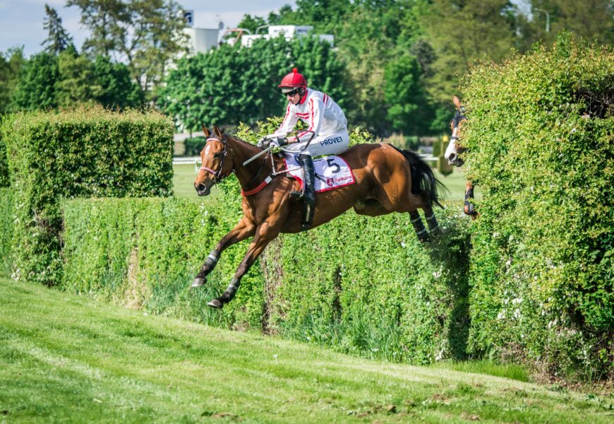 Jediná klisna v poli Ztracenka favoritkou závěrečné kvalifikace