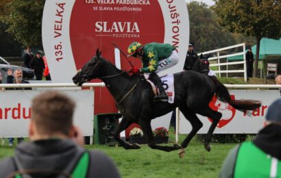 OHLÉDNUTÍ: Napínavý finiš Velké pardubické má svého vítěze Stumptowna