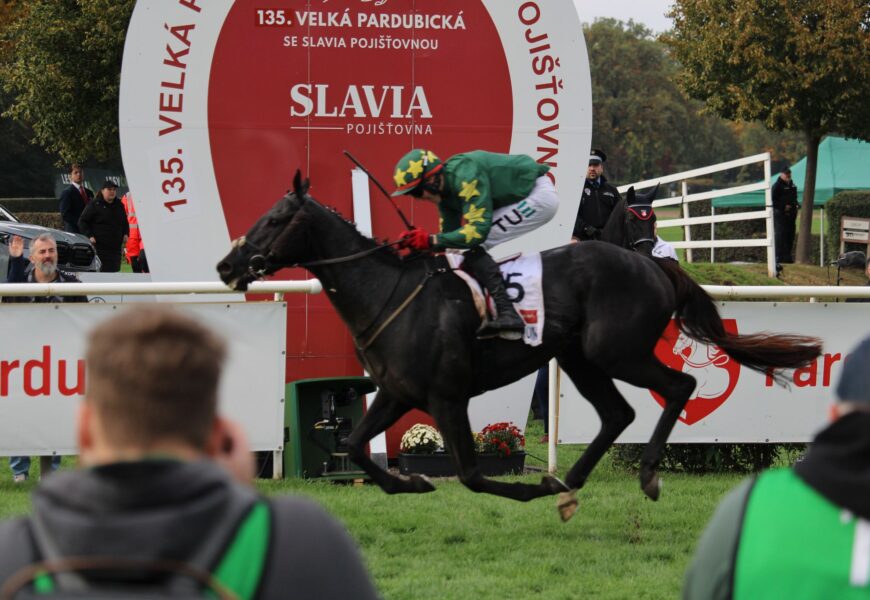 OHLÉDNUTÍ: Napínavý finiš Velké pardubické má svého vítěze Stumptowna