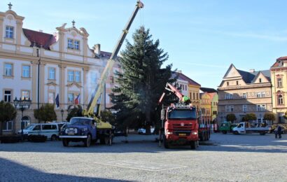 VIDEO: V Chrudimi už stojí vánoční strom, ten byl dovezen z Dřenic