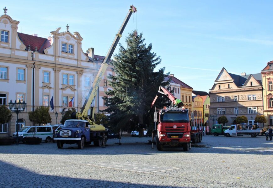 VIDEO: V Chrudimi už stojí vánoční strom, ten byl dovezen z Dřenic