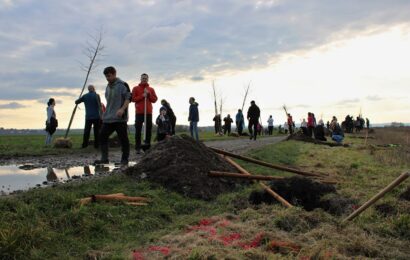 VIDEO: V Pardubicích byla vysázena nová Alej Svobody, do sázení se zapojila veřejnost