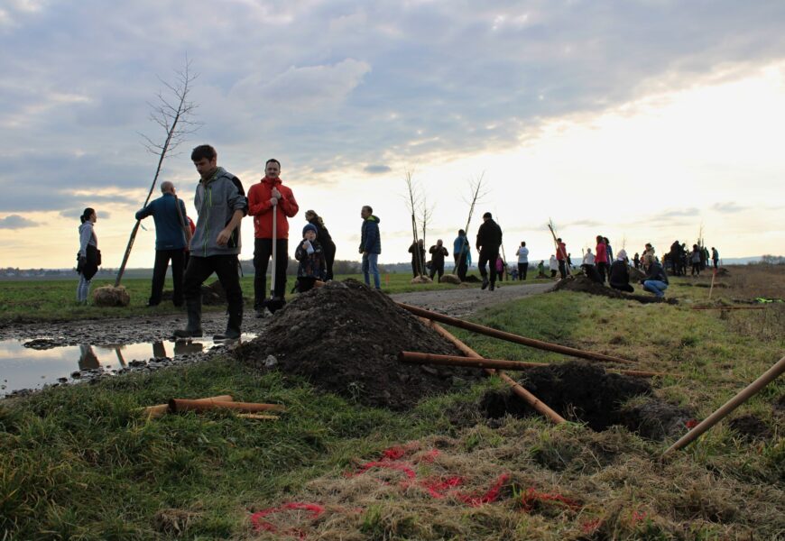 VIDEO: V Pardubicích byla vysázena nová Alej Svobody, do sázení se zapojila veřejnost
