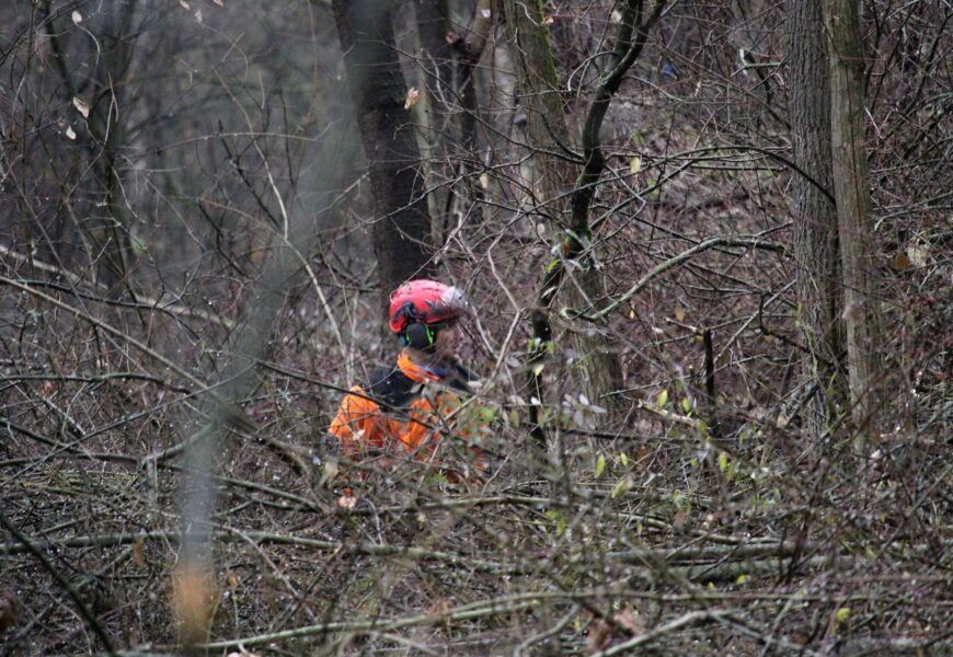 VIDEO: Pardubický Červeňák je uzavřen. Začala plánovaná revitalizace