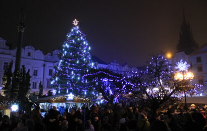 VIDEO: Vilém už září! Vánoční strom na Pernštýnském náměstí rozsvítil své ozdoby