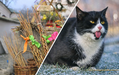 Víkendové tipy na Pardubicku: voda, jarmarky i koncert