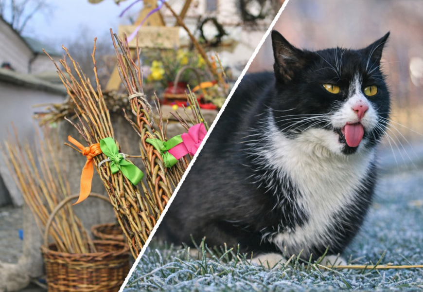 Víkendové tipy na Pardubicku: voda, jarmarky i koncert