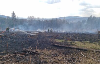Požár lesního porostu u Městečka Trnávka zaměstnal hasiče. Vyhlášen byl druhý stupeň poplachu