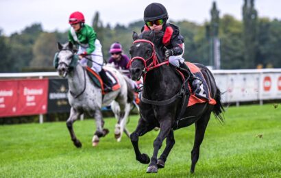 Pony liga v Pardubicích nabídne ještě bohatší program