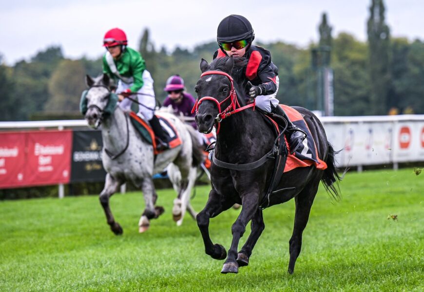 Pony liga v Pardubicích nabídne ještě bohatší program