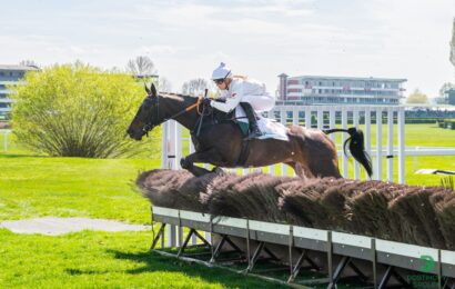 V hlavním dostihu se zaleskla Platina, zaujali nováčci