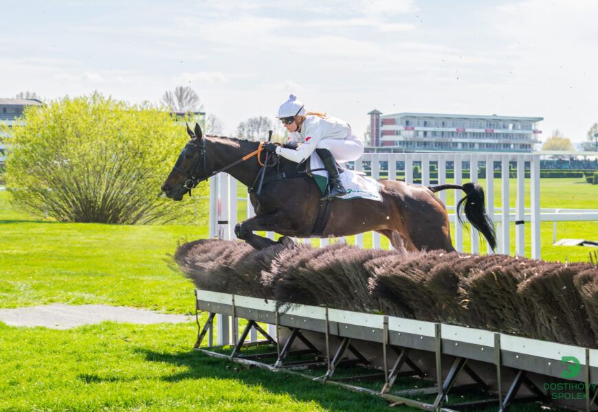 V hlavním dostihu se zaleskla Platina, zaujali nováčci