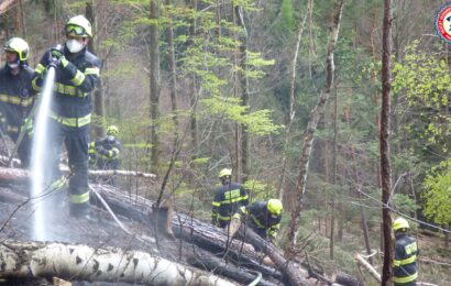 U Brda hořel les. Na místě zasahovaly čtyři jednotky hasičů