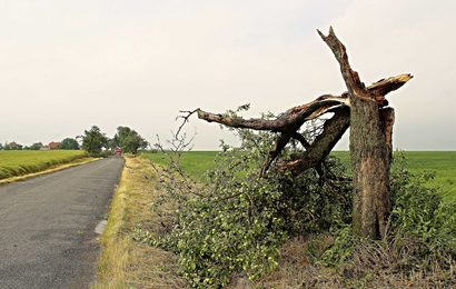 Do Česka se řítí silný vítr. Nárazy o rychlosti 70 km/h neminou ani Pardubický kraj