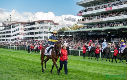 Irský tým znovu slaví ve Velké pardubické. Final Orders navázal na loňský triumf Stumptowna