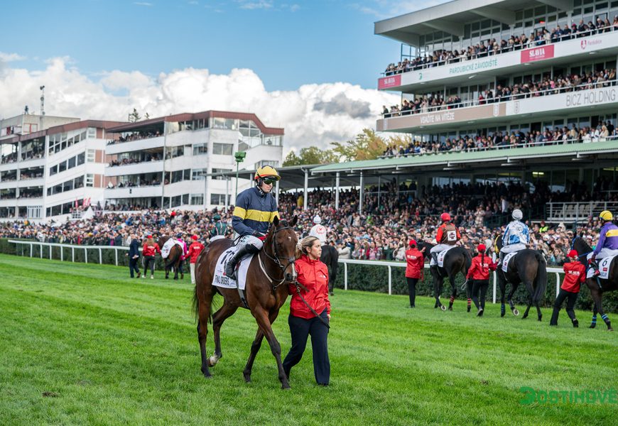 Irský tým znovu slaví ve Velké pardubické. Final Orders navázal na loňský triumf Stumptowna